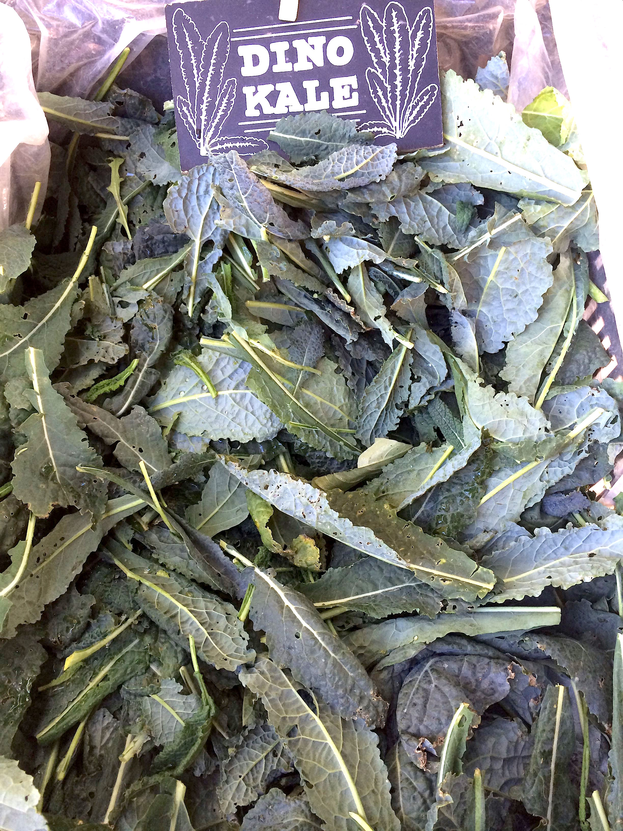 Dinosaur Kale From The CUESA Ferry Building Farmers Market (Marin Roots Farm)