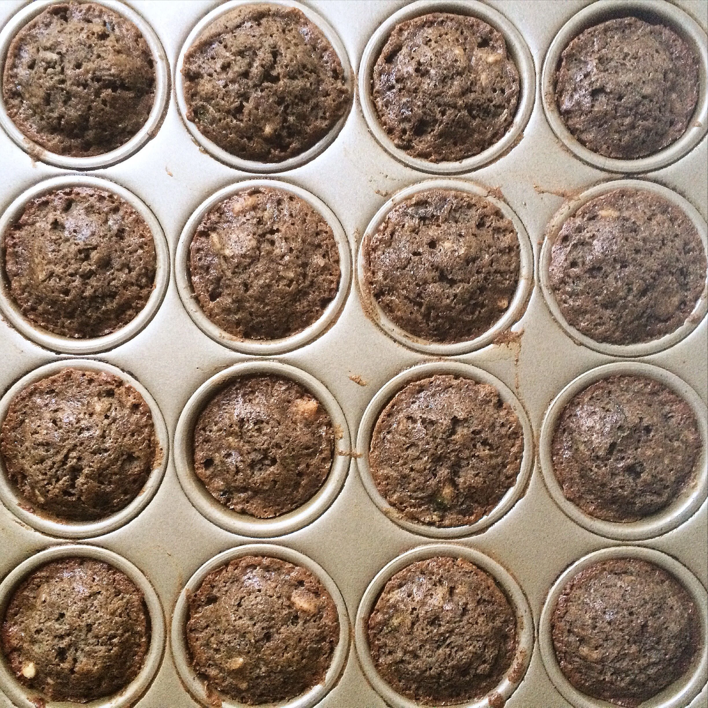 Tiger squash buckwheat muffins right out of the oven.