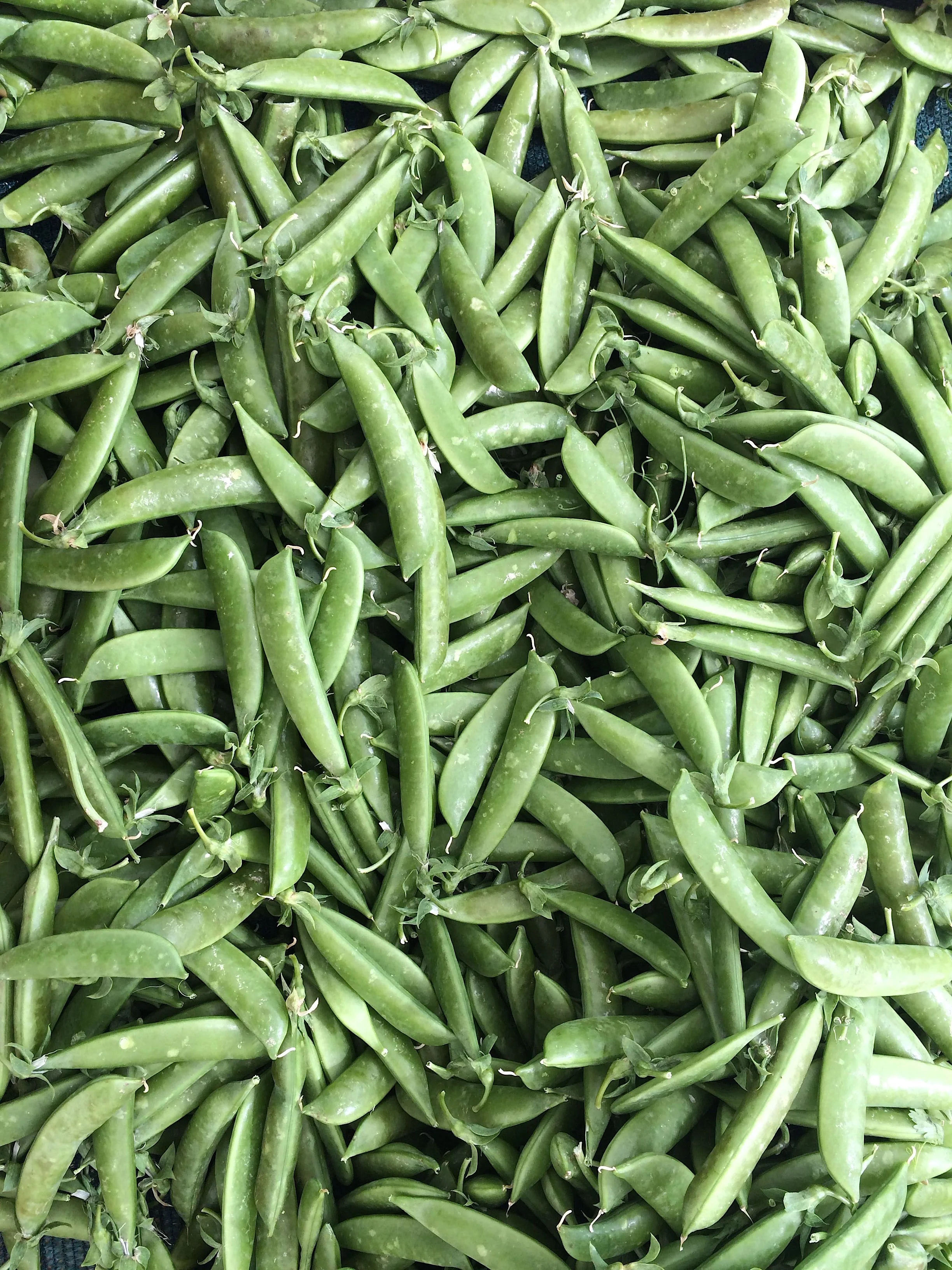 This season, snap peas have been wonderfully sweet and crunchy - these from Happy Boy Farm at the Berkeley Farmers Market.