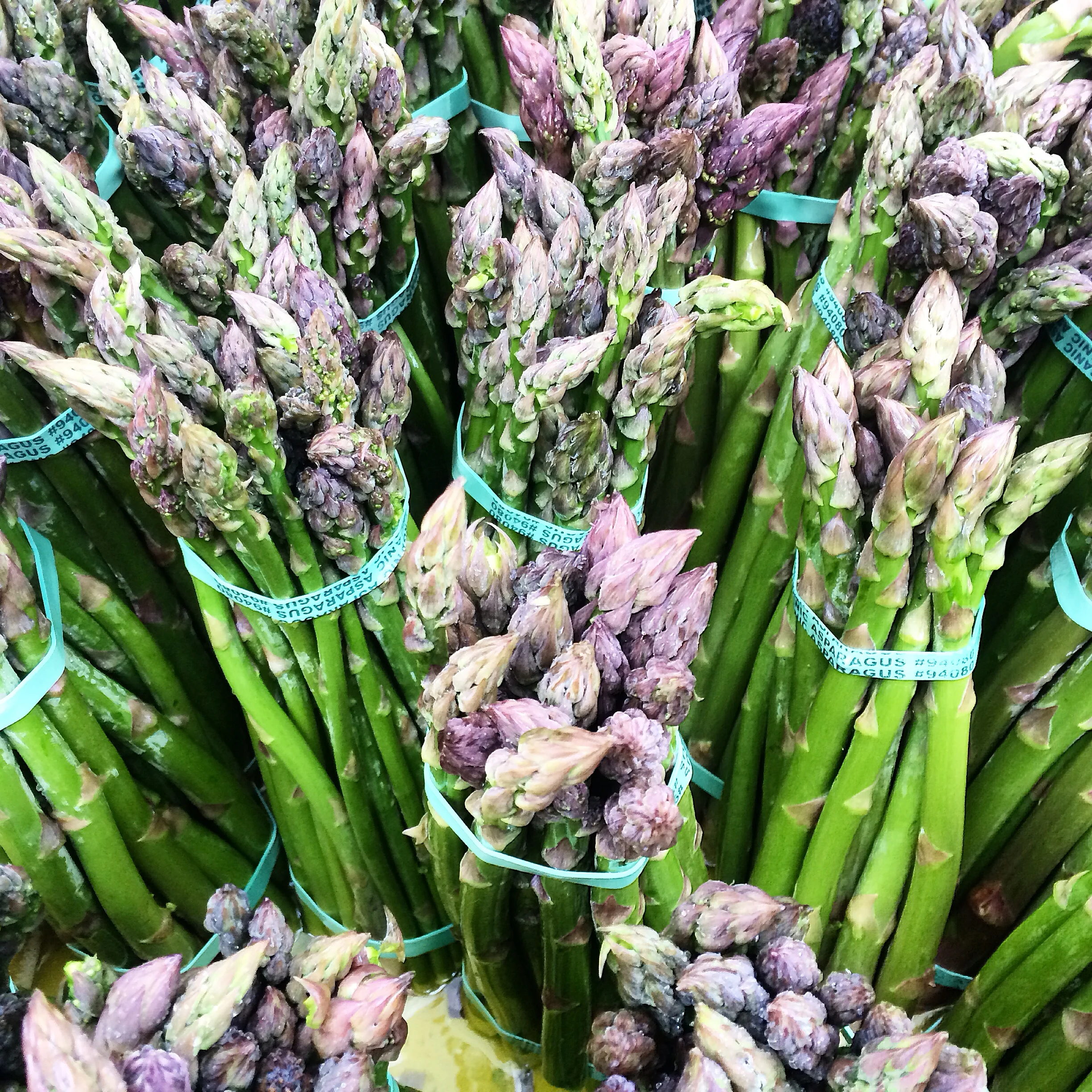 Fresh asparagus - Berkeley Farmers Market, Riverdog Farm.