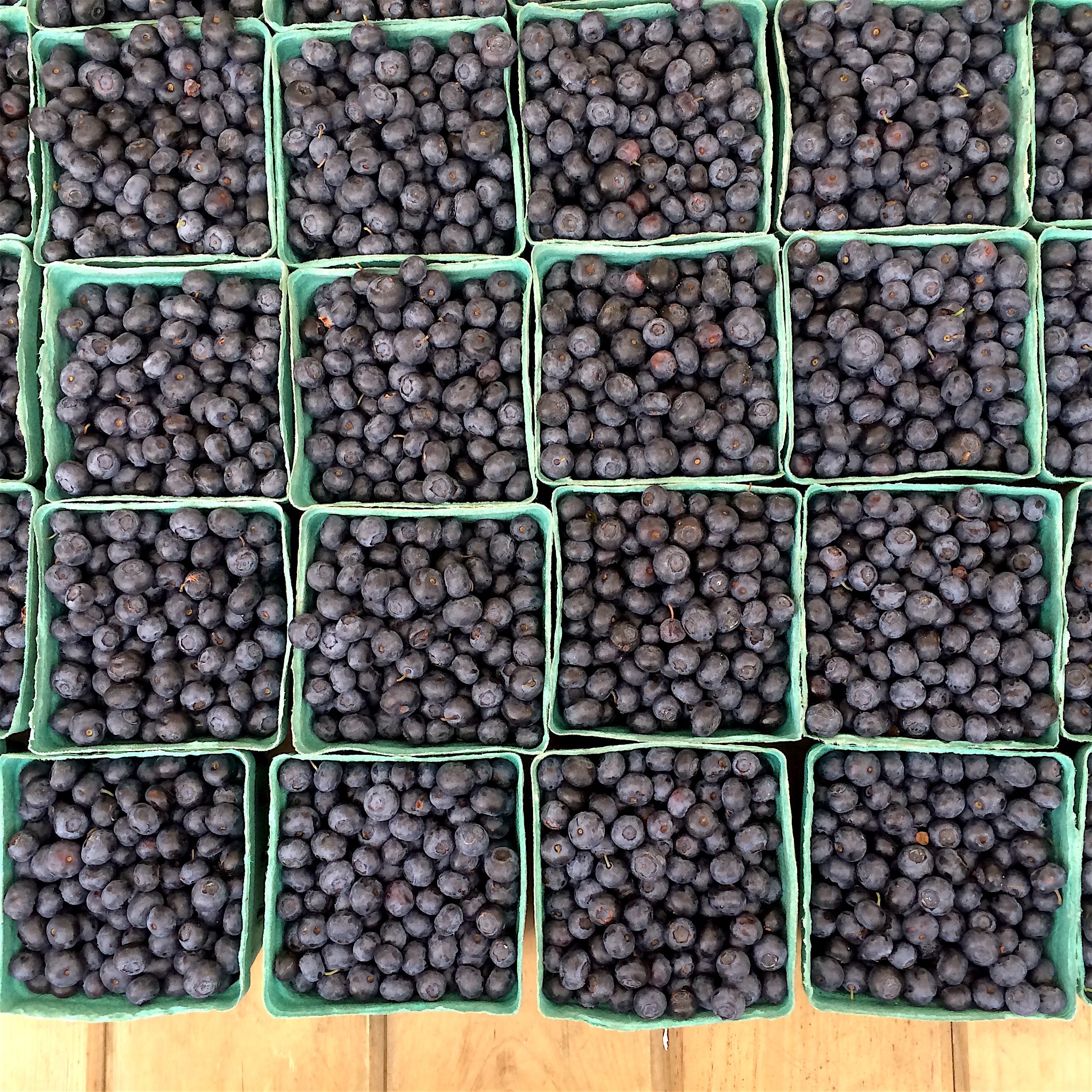 A mesmerizing sea of blueberries at the Union Square Greenmarket
