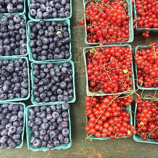 #Humpday happiness : munching on more #nyc #farmersmarket faves for this #summer. 😋 The blues are sweet and refreshing on these hot days, but still a tad tart too, so also good candidates for a quick stew/compote with a little maple syrup to ease th