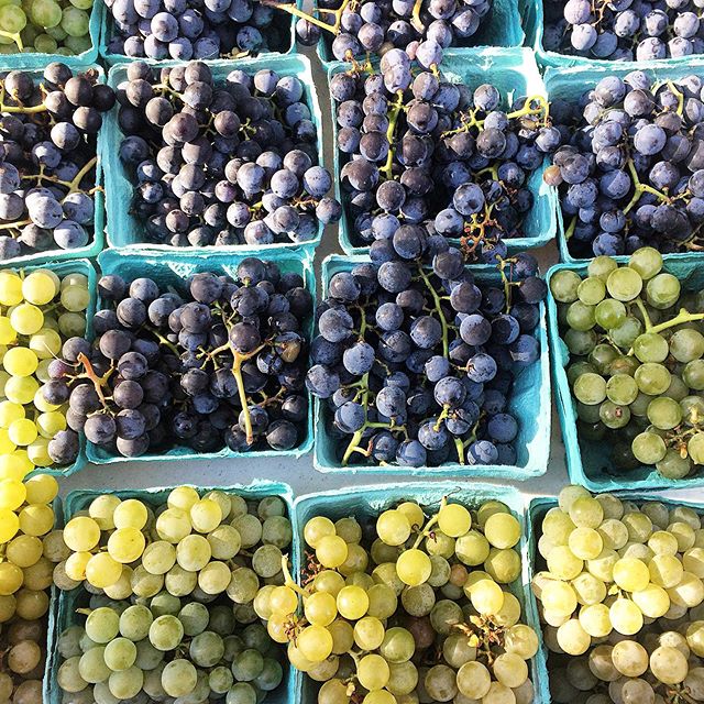 When the week ends and feels just right... A beautiful display of colors and Concord grapes at the #farmersmarket for a beautiful sunny #Fall day... 💛💜 #happyfriday !