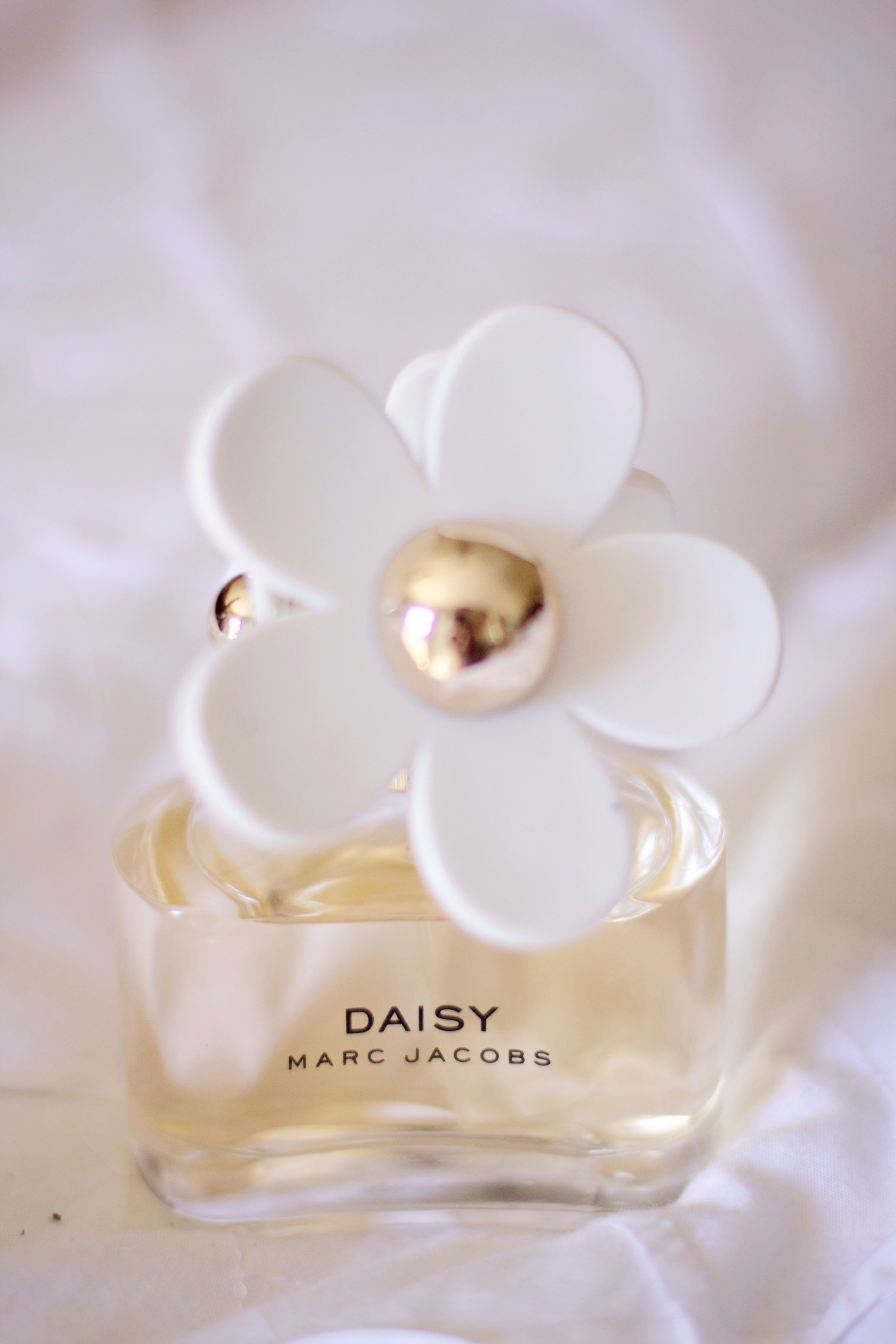 daisy3.jpg