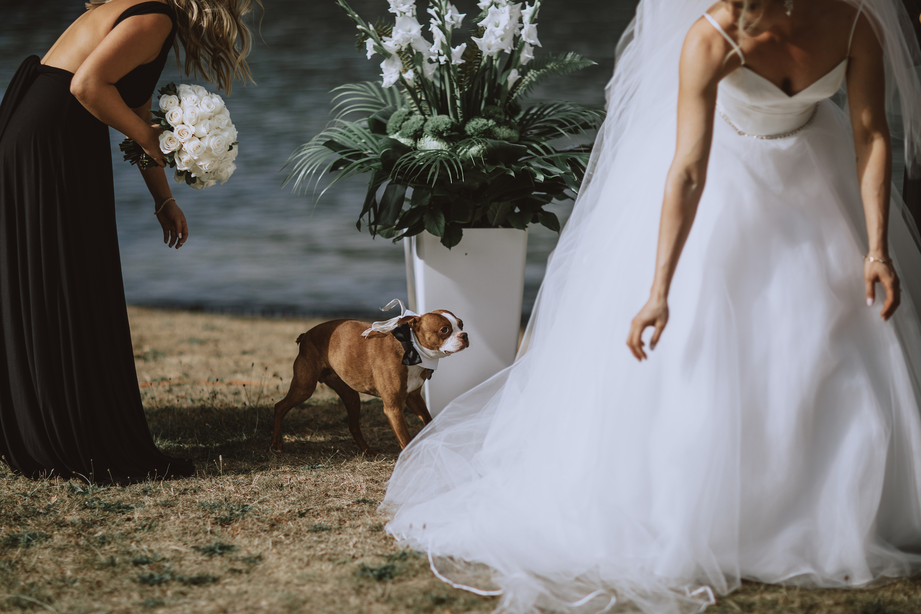 Bowen-Island-wedding-Bowen-Island-Lodge-vancouver-island-wedding-photographer-17.jpg