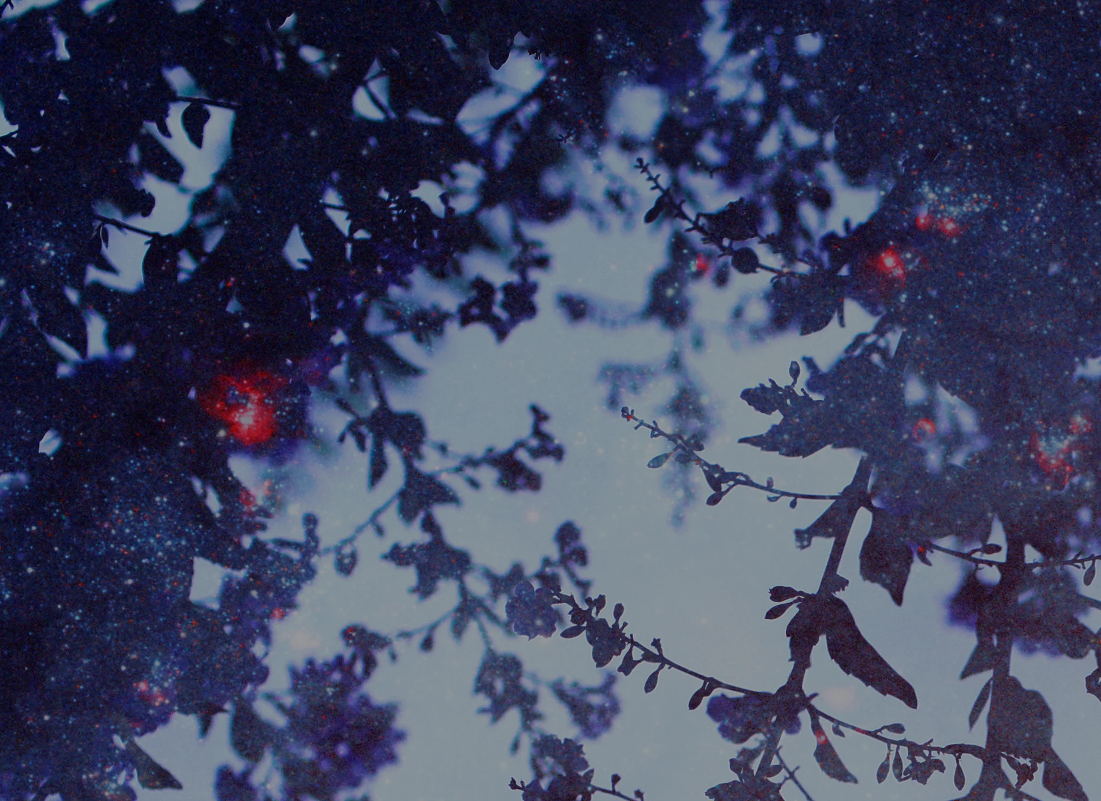 portfolio-header-cosmic.jpg