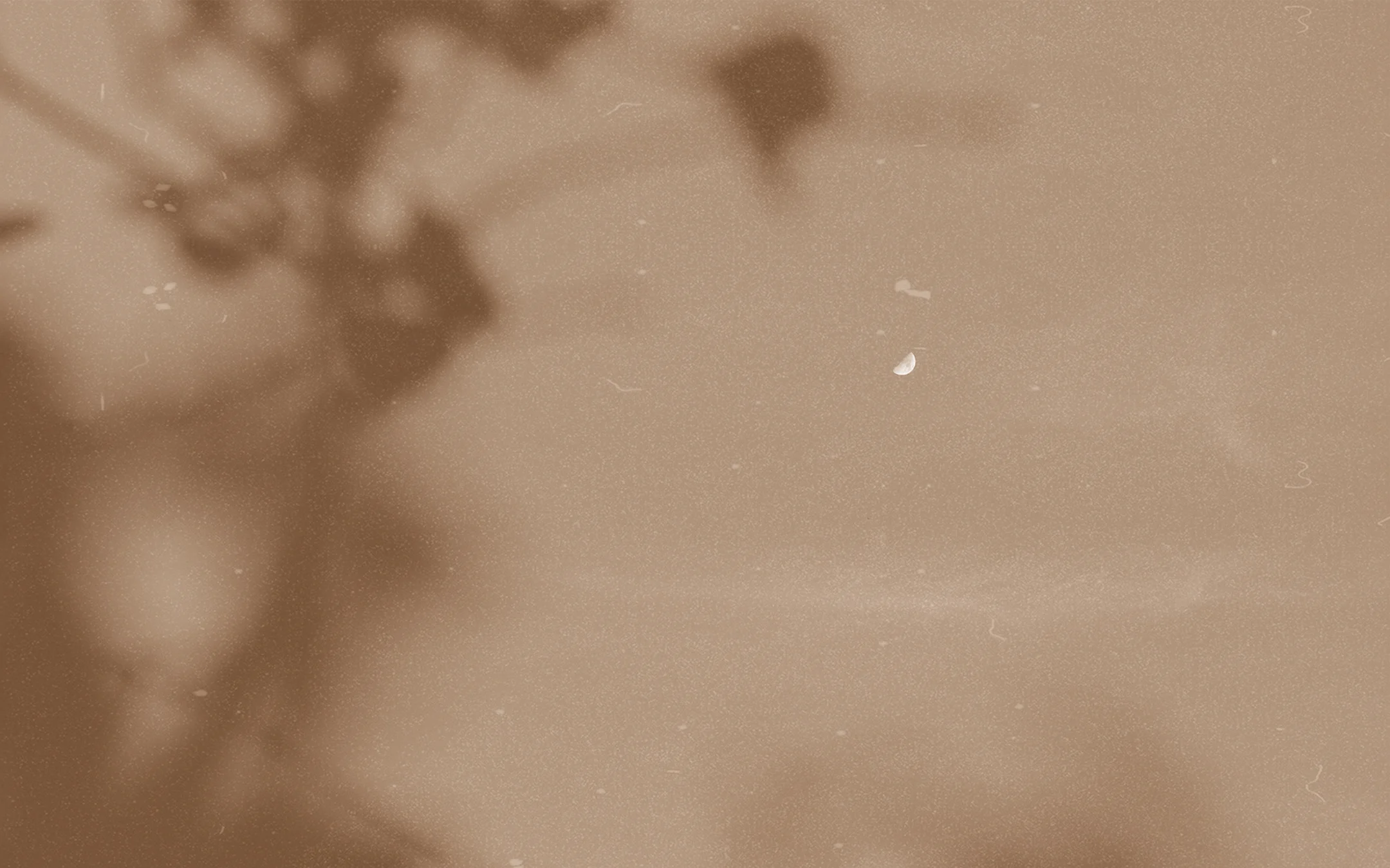 lw-portfolio-thumbnail.jpg