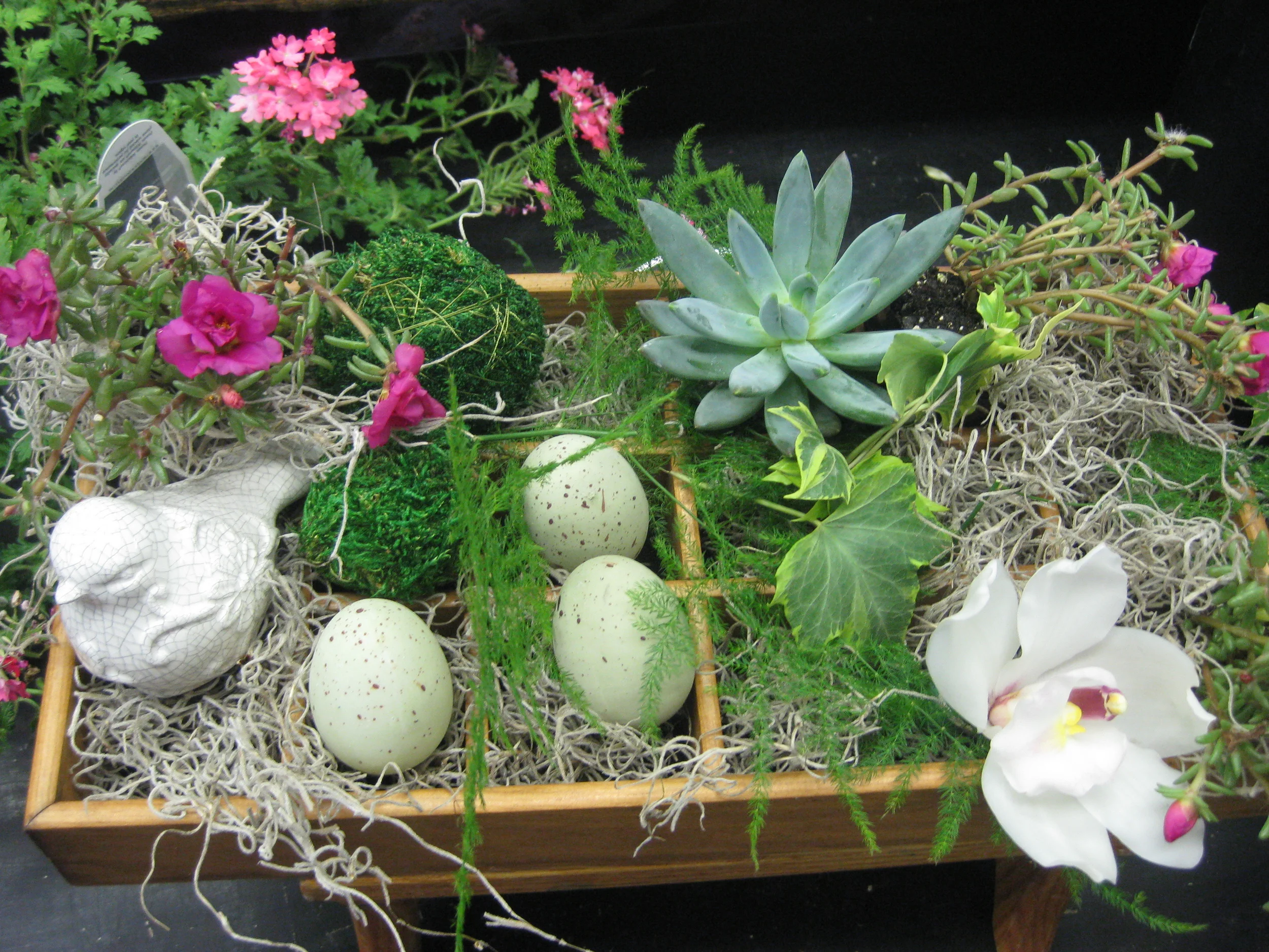 anna page photography