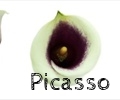 thumb_120x100_picasso_collage2.jpg