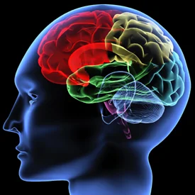 neurology.jpg