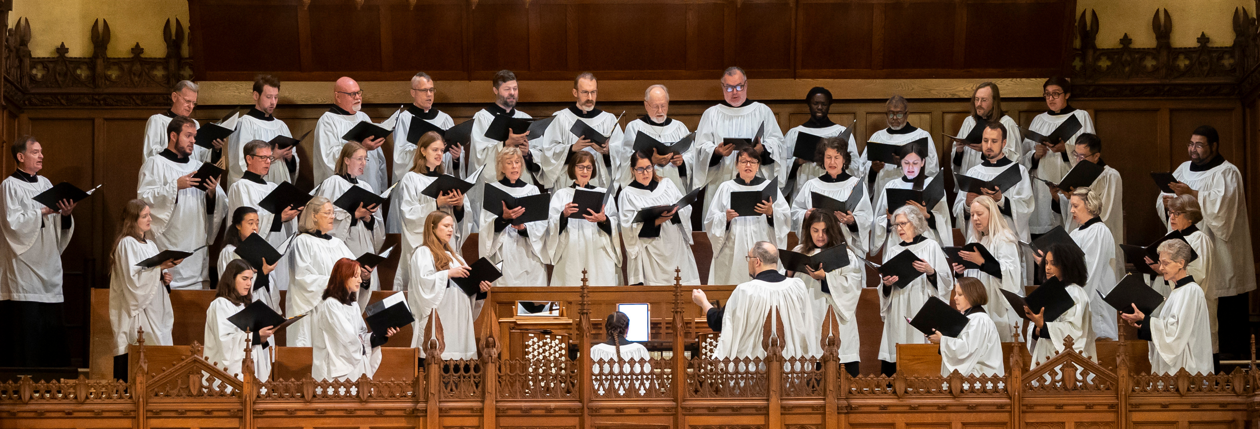 Website Banners-2.png