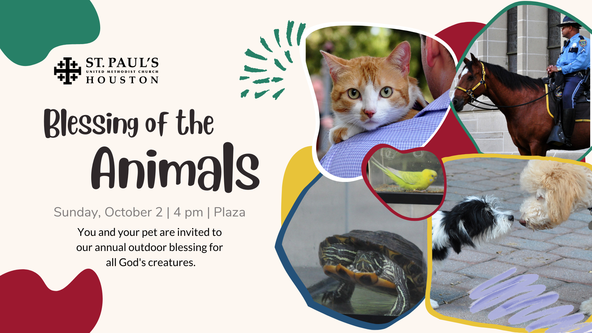 Blessing of the Animals — St. Paul's United Methodist Church