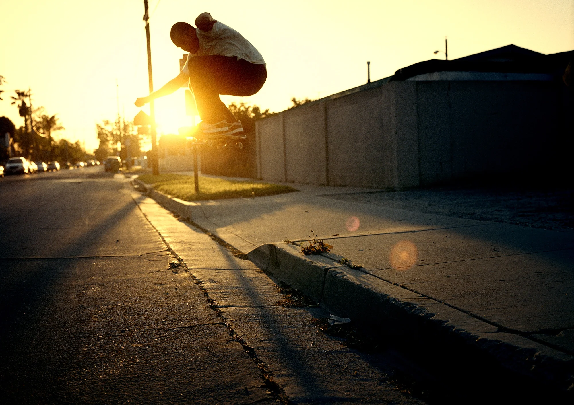 faces of skateboarding