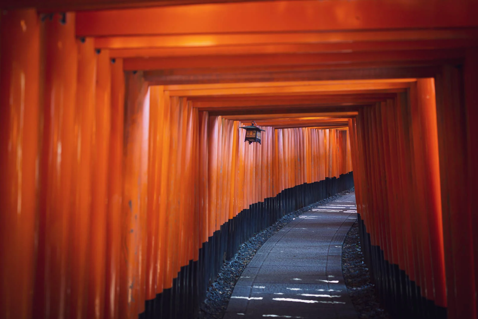 Fushimi Inari-taisha Torii