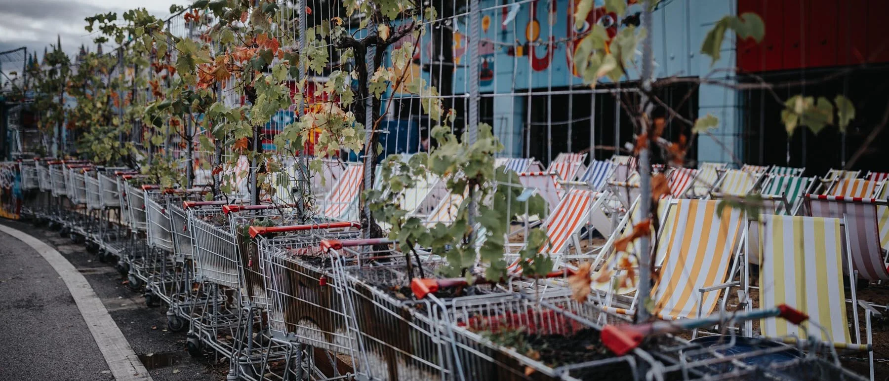 Einkaufswagen und Liegeschühle Wien.jpg