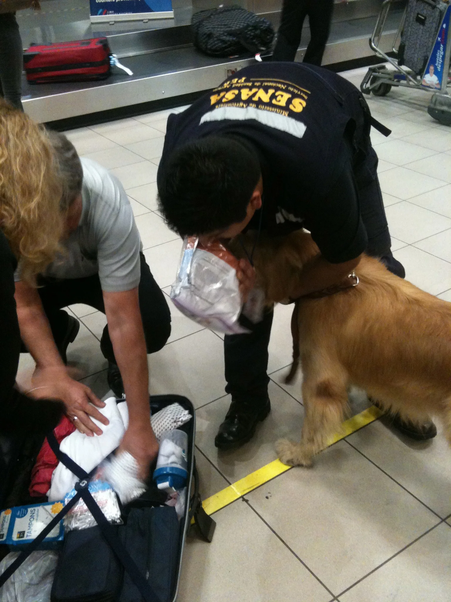 The customs dog found our My-Victory protein shake