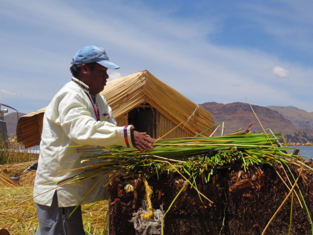 When the island is big enough - could be several of the bottom layers tied together, then they are covered with long straws