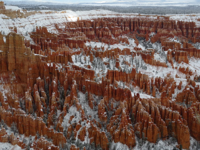 We believe that the snow that had fallen during the night made the canyon look even more spectacular