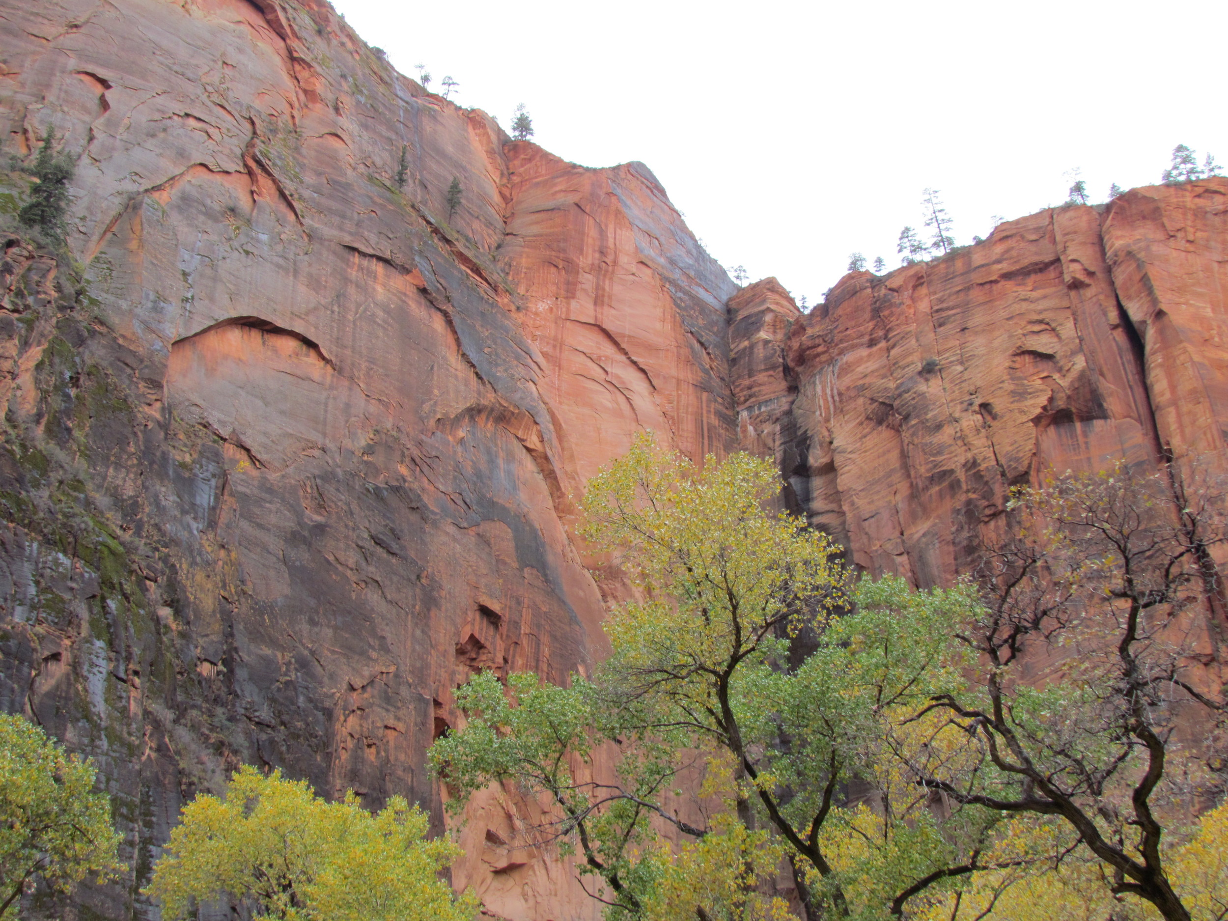 Coming close to Zion national park the landscape changed dramatically