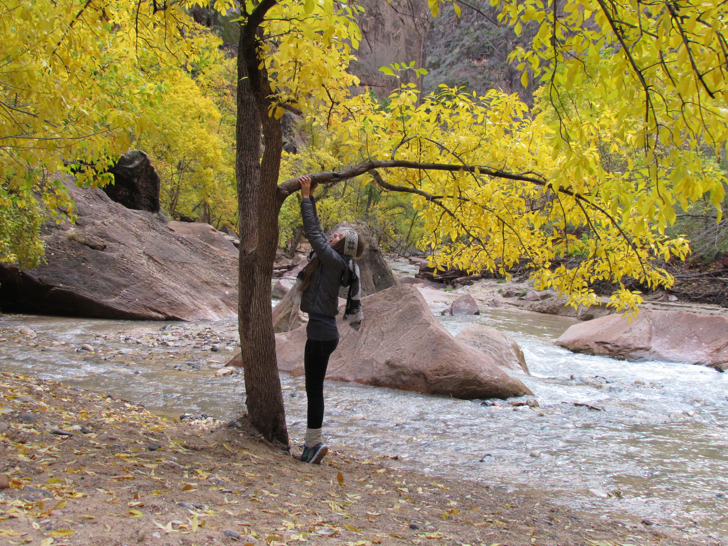 Playing with the autumn colours