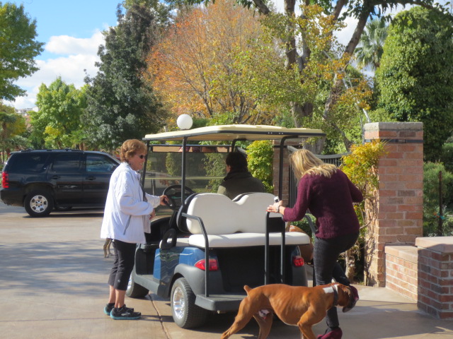 Clara jumped on her golf car and drove us around