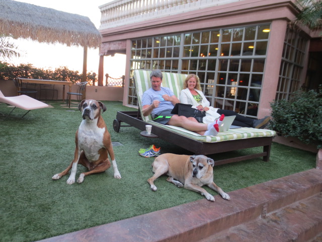 Benni and Gudrun relaxing at the pool with Craig´s two dogs.  They are getting pretty old but are just so nice.