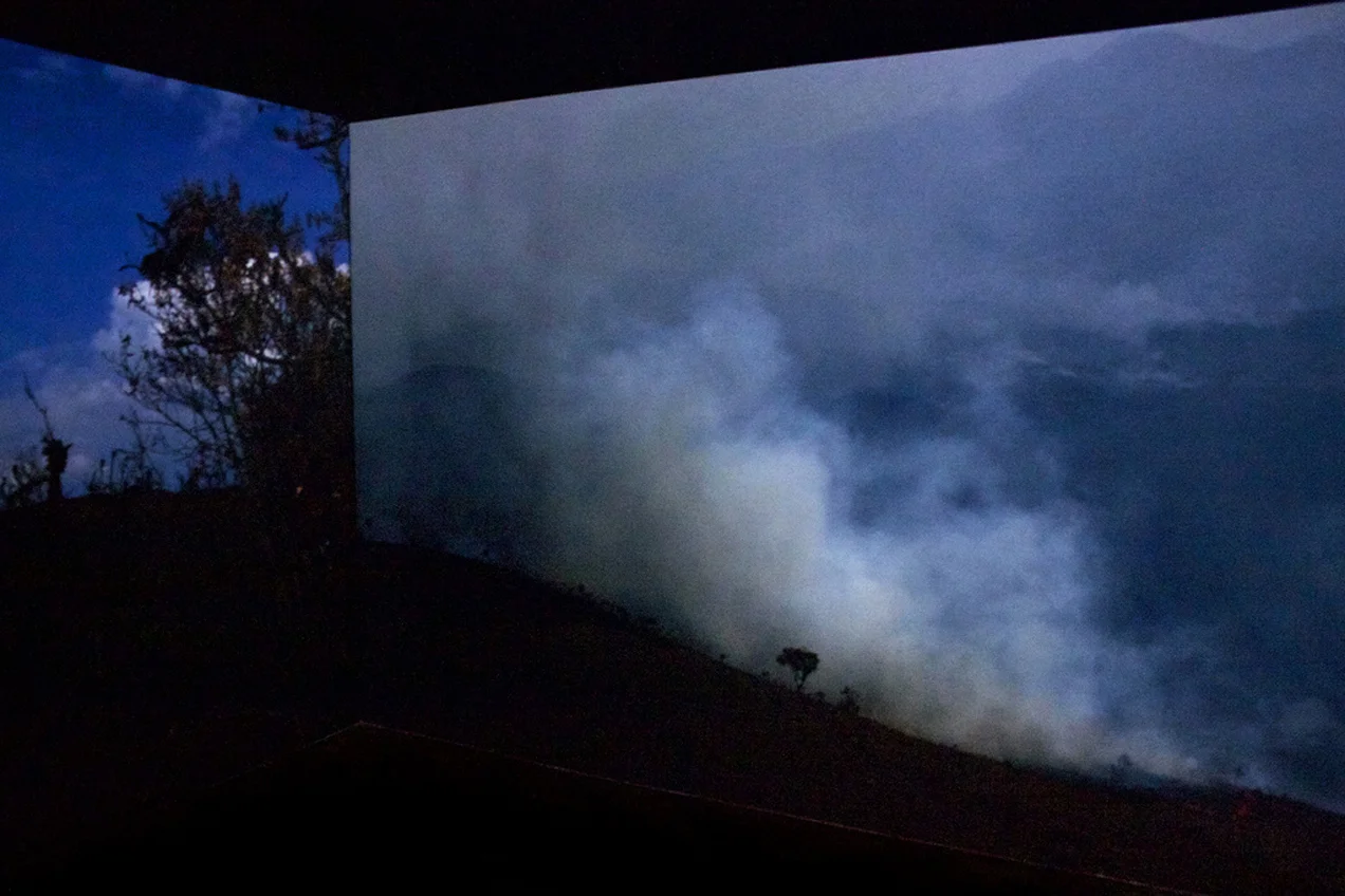 Imagens projetadas na instalação interativa