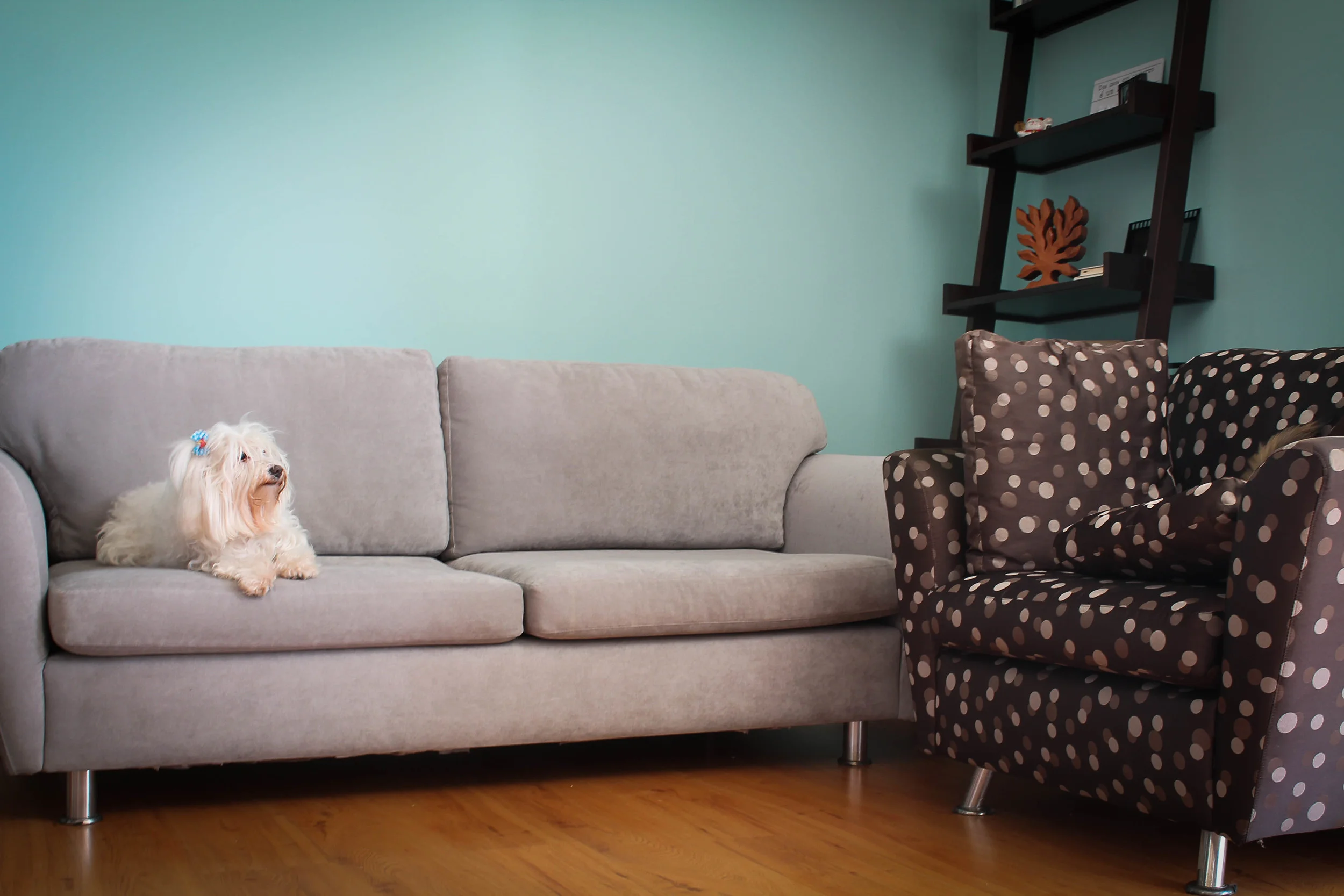 Parede da sala com pintura azul e móveis aproveitados do antigo apartamento.