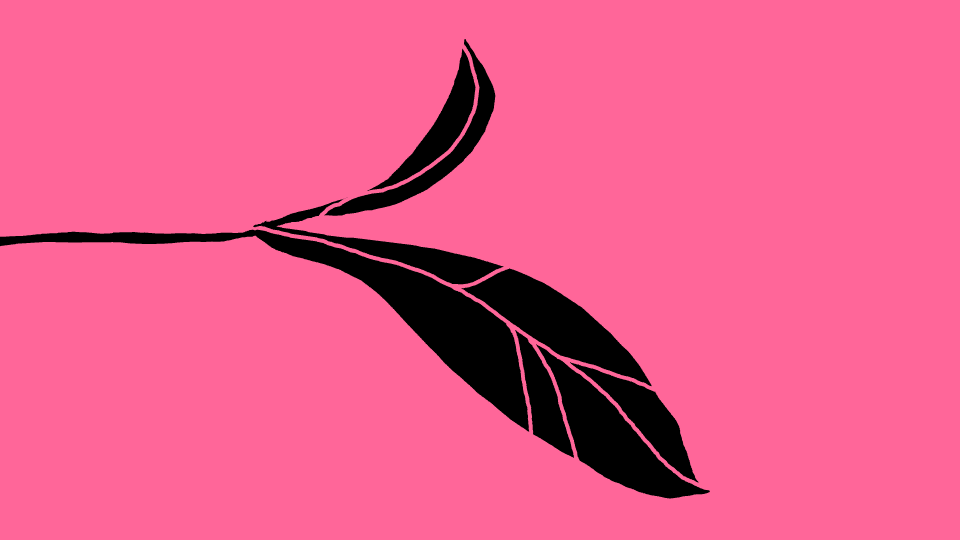 storyboard.gif