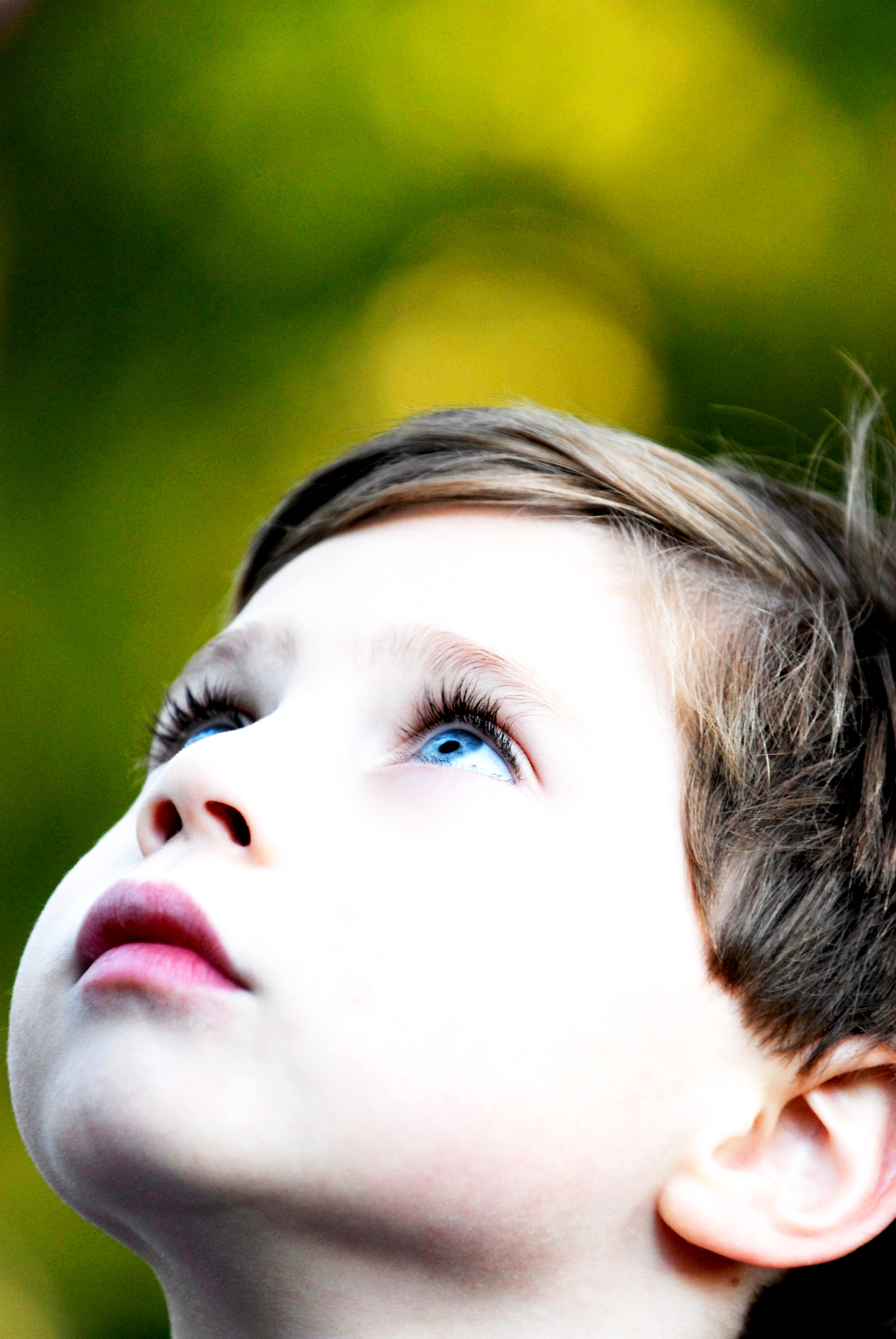 _DSC0510 zane look up.jpg