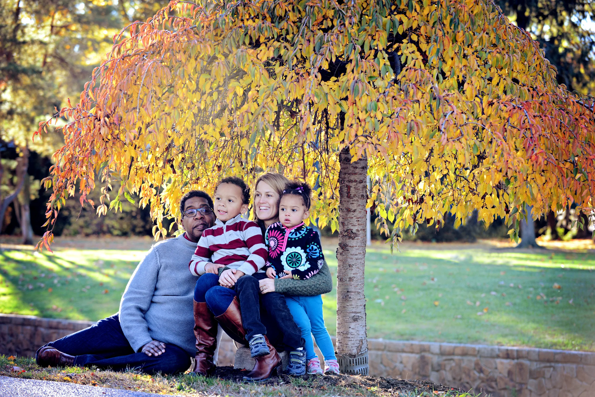 DSC_9175 family under tree umbrella color.jpg