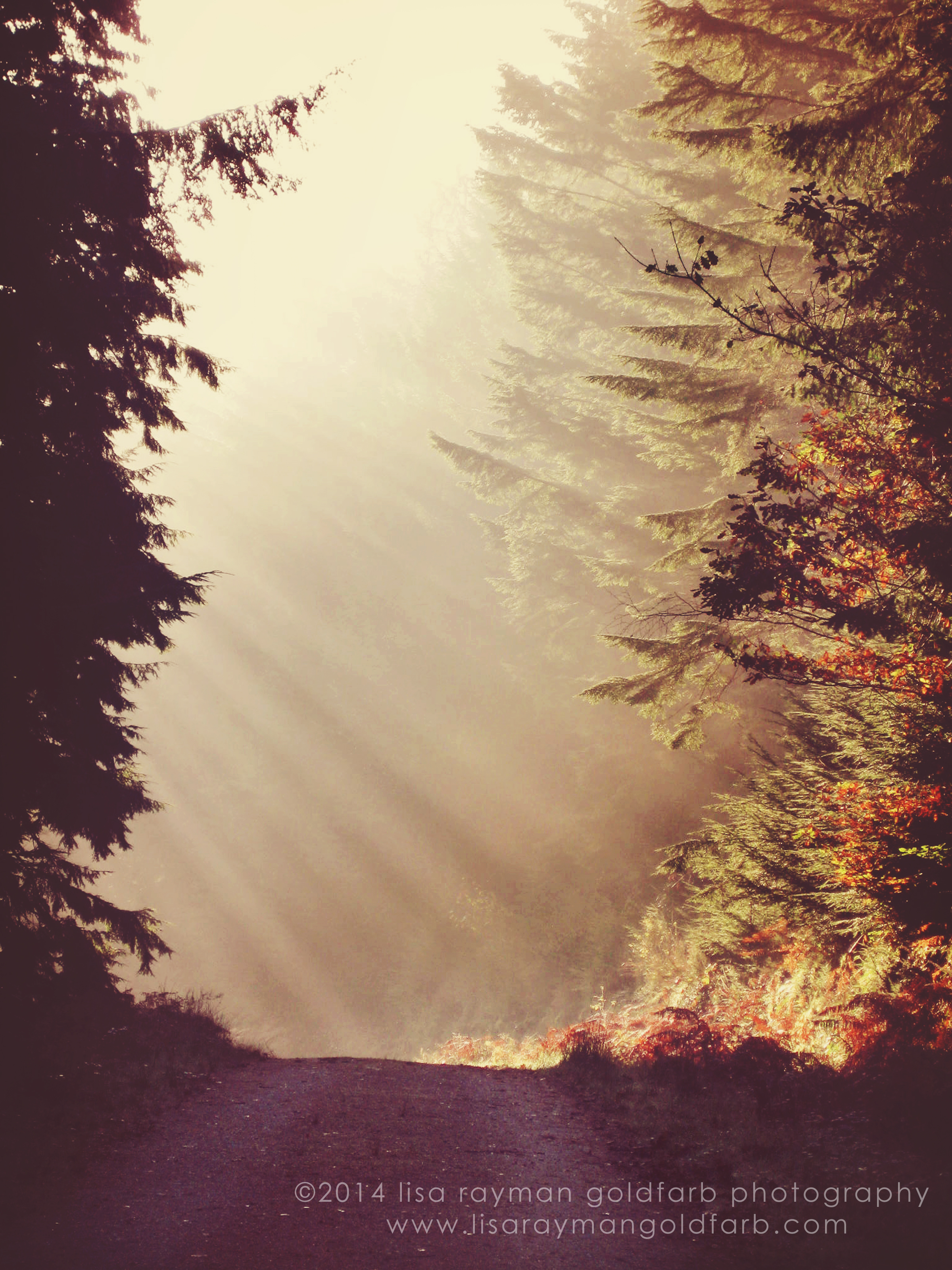 IMG_3288 sunrays.jpg