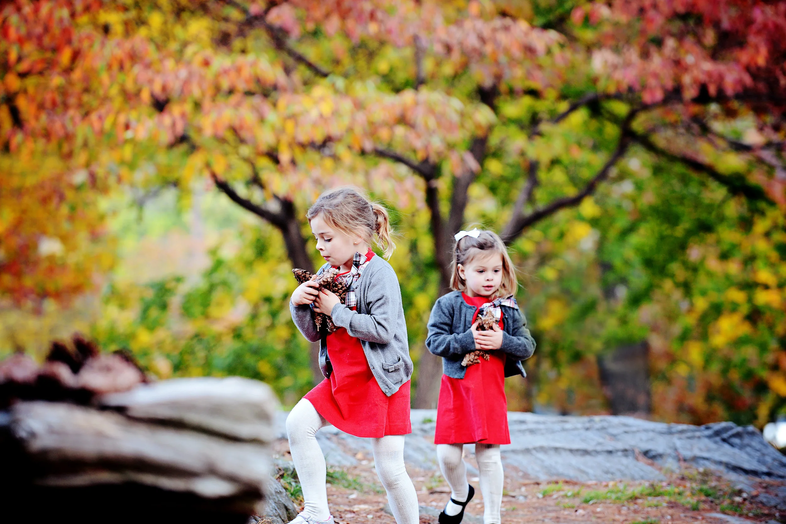 DSC_4438 girls carry pinecones.jpg