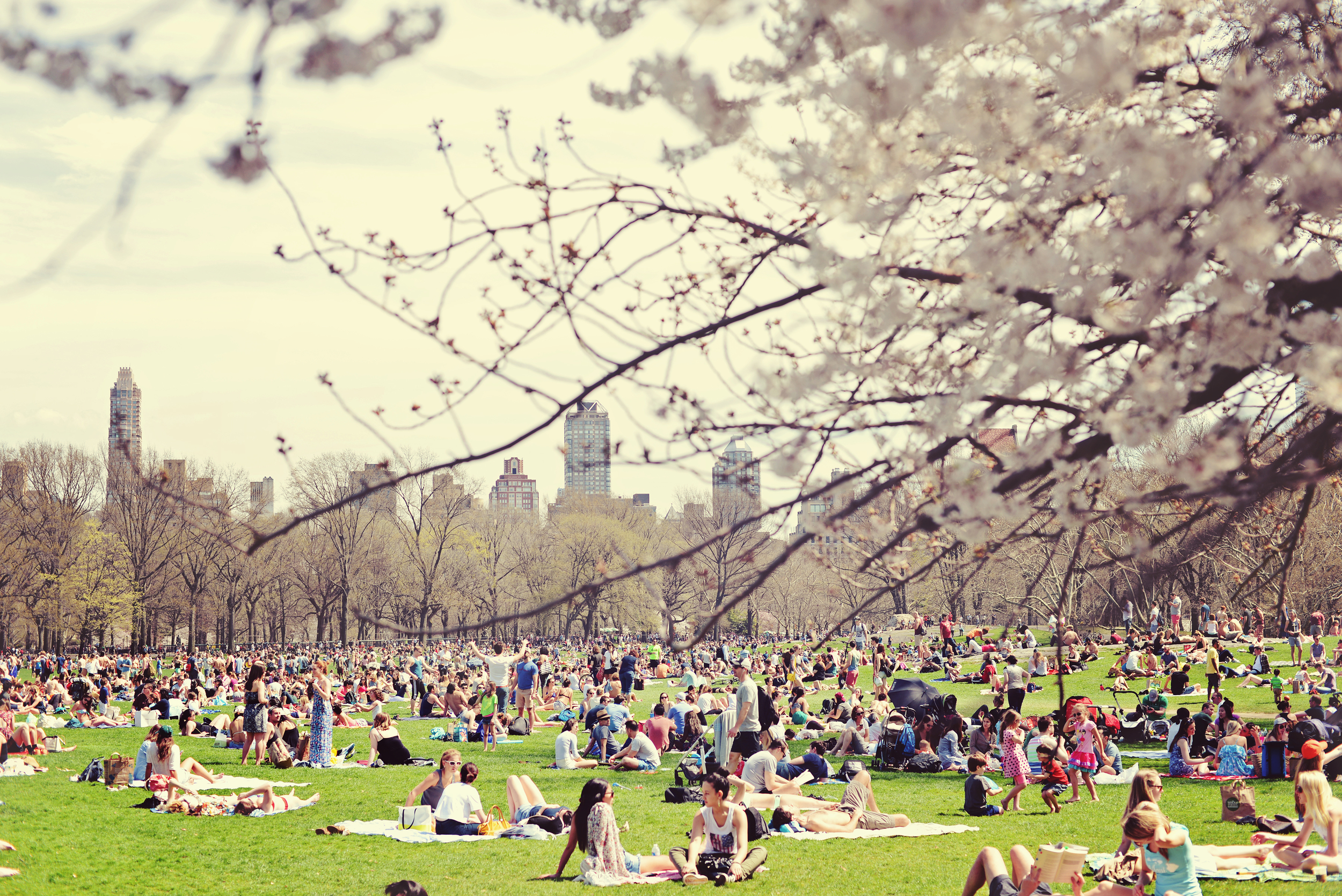 DSC_4967 central park picnic april 2015.jpg