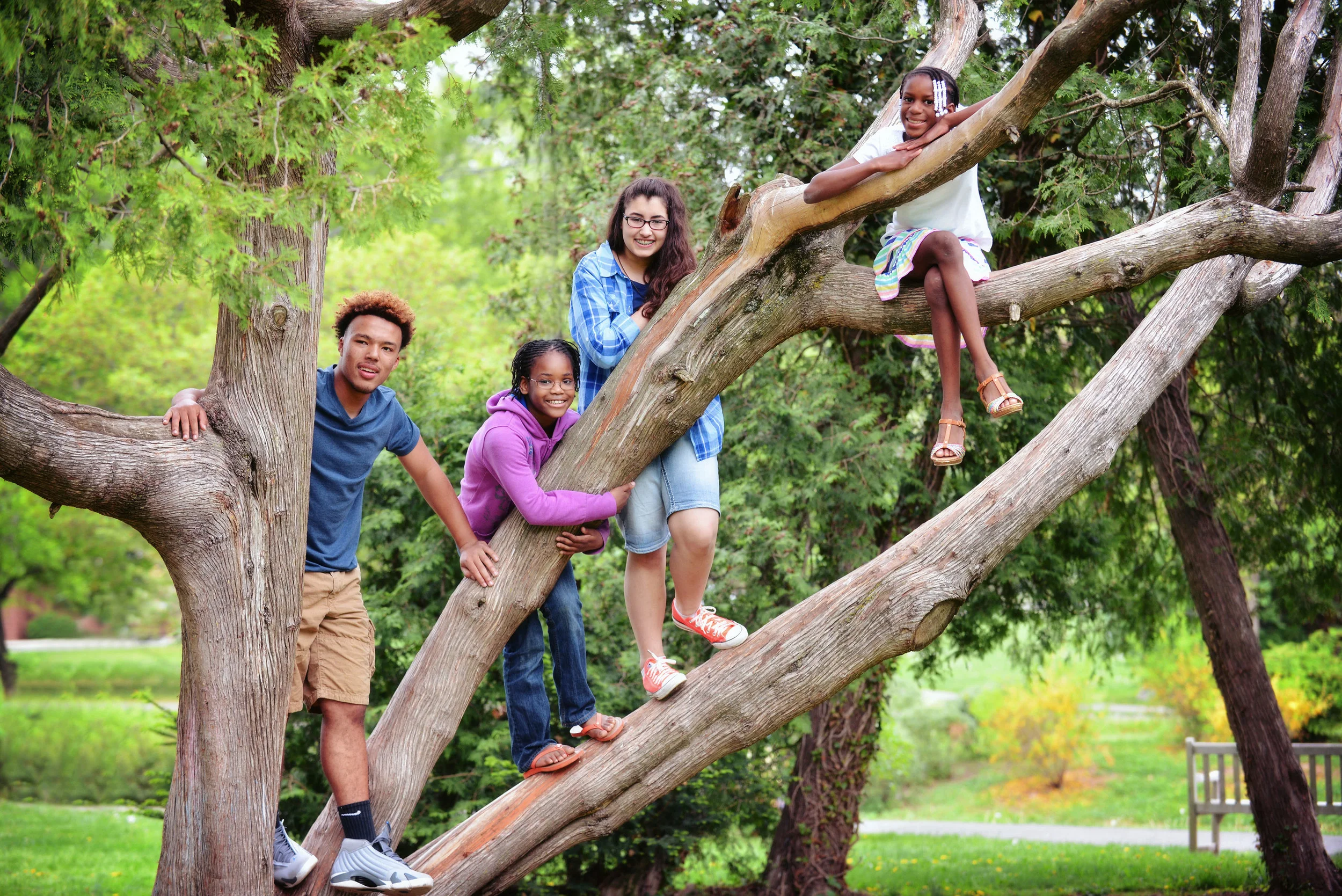DSC_9072 kids in tree 3 website.jpg