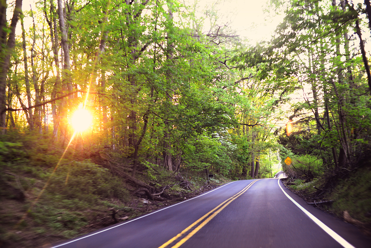 DSC_8520 sunset down the road large web.jpg