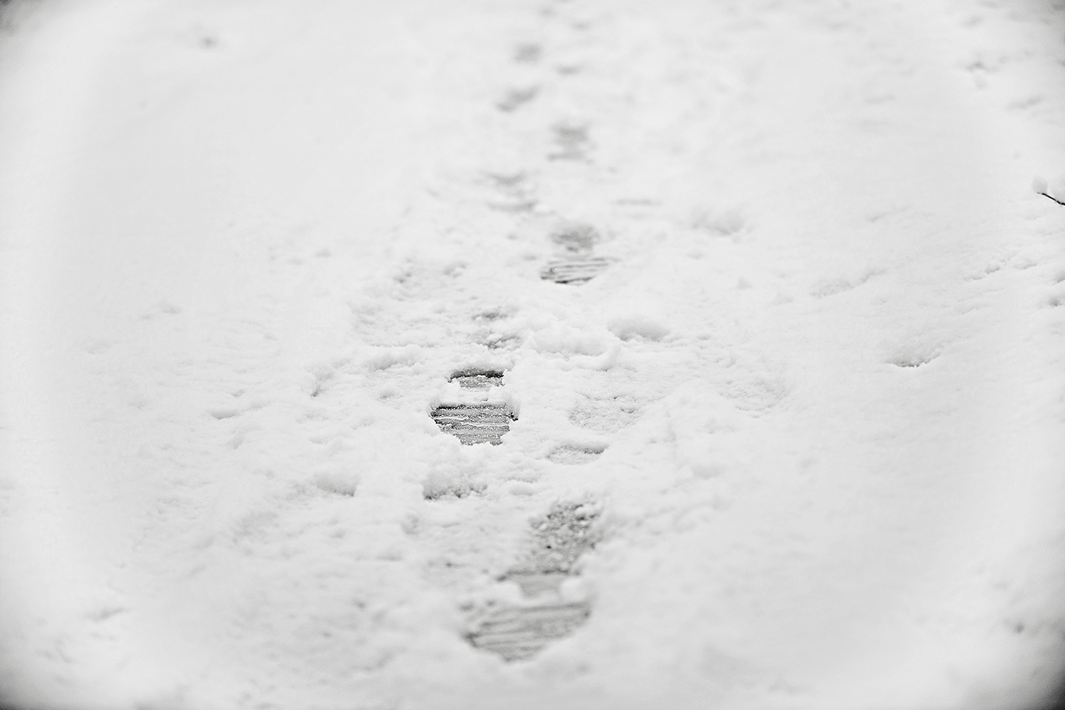 DSC_9925 footsteps in snow for website.jpg