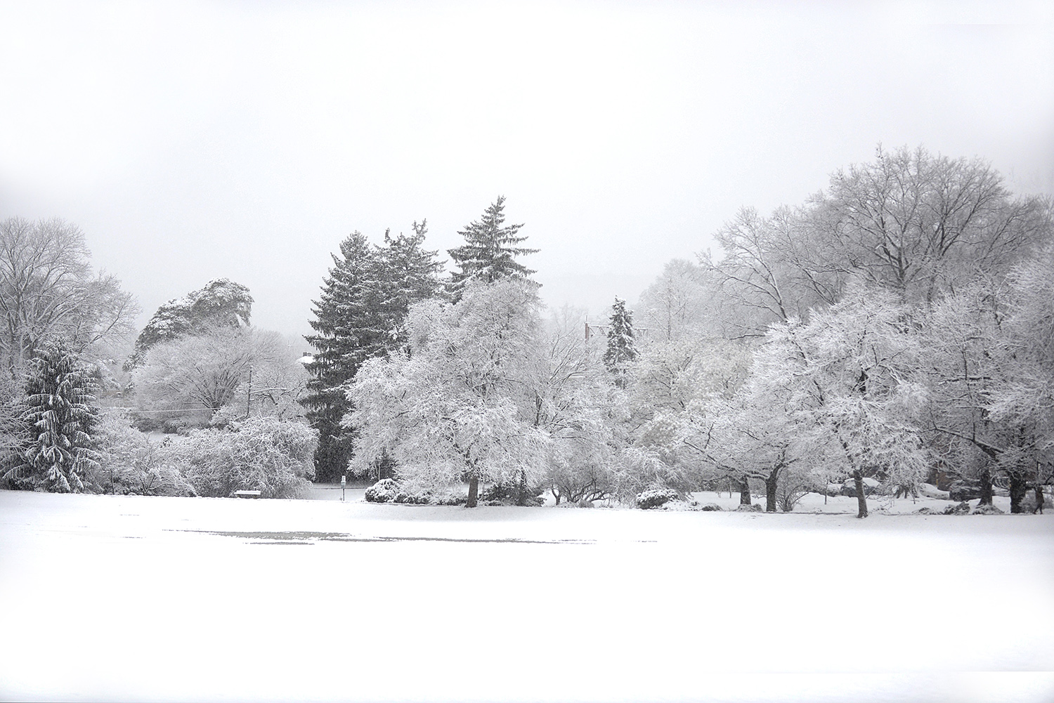 DSC_9892 memorial park snow website.jpg