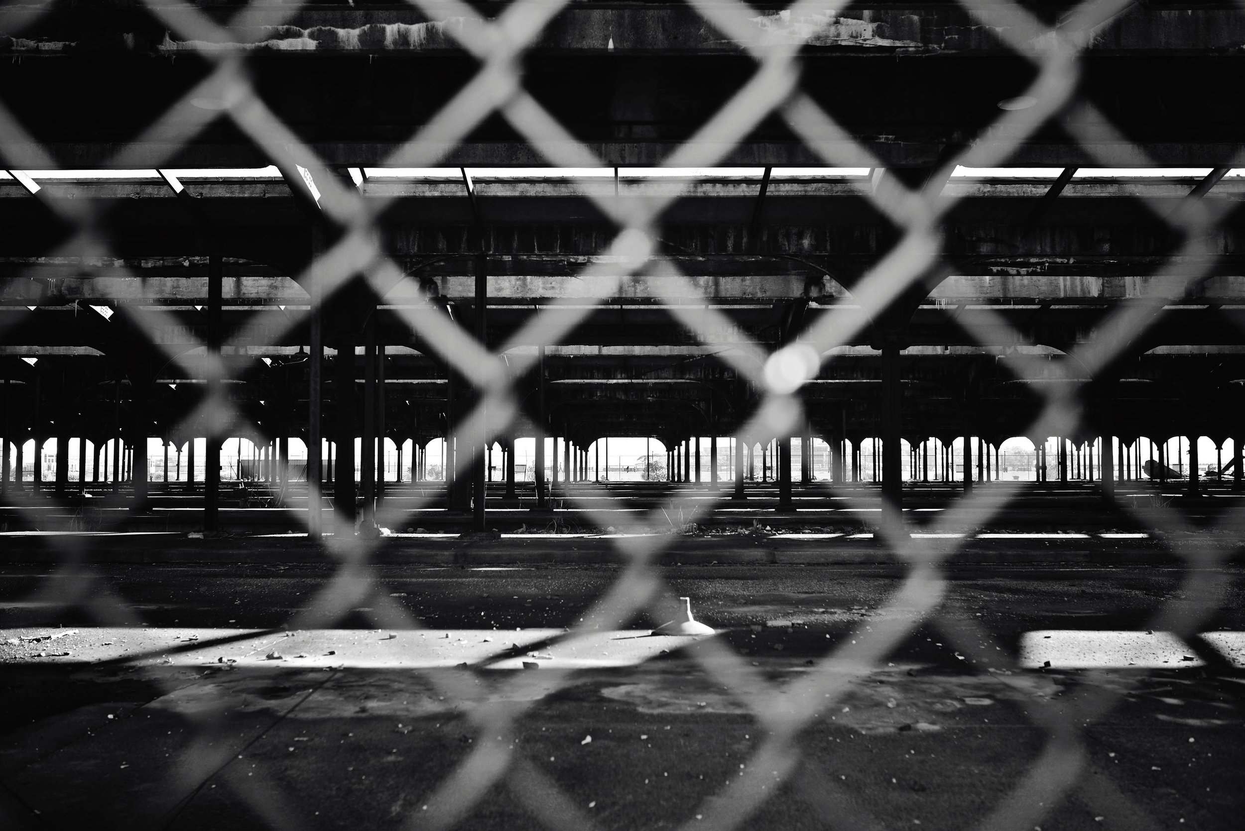 DSC_0063 through the fence B&W web.jpg