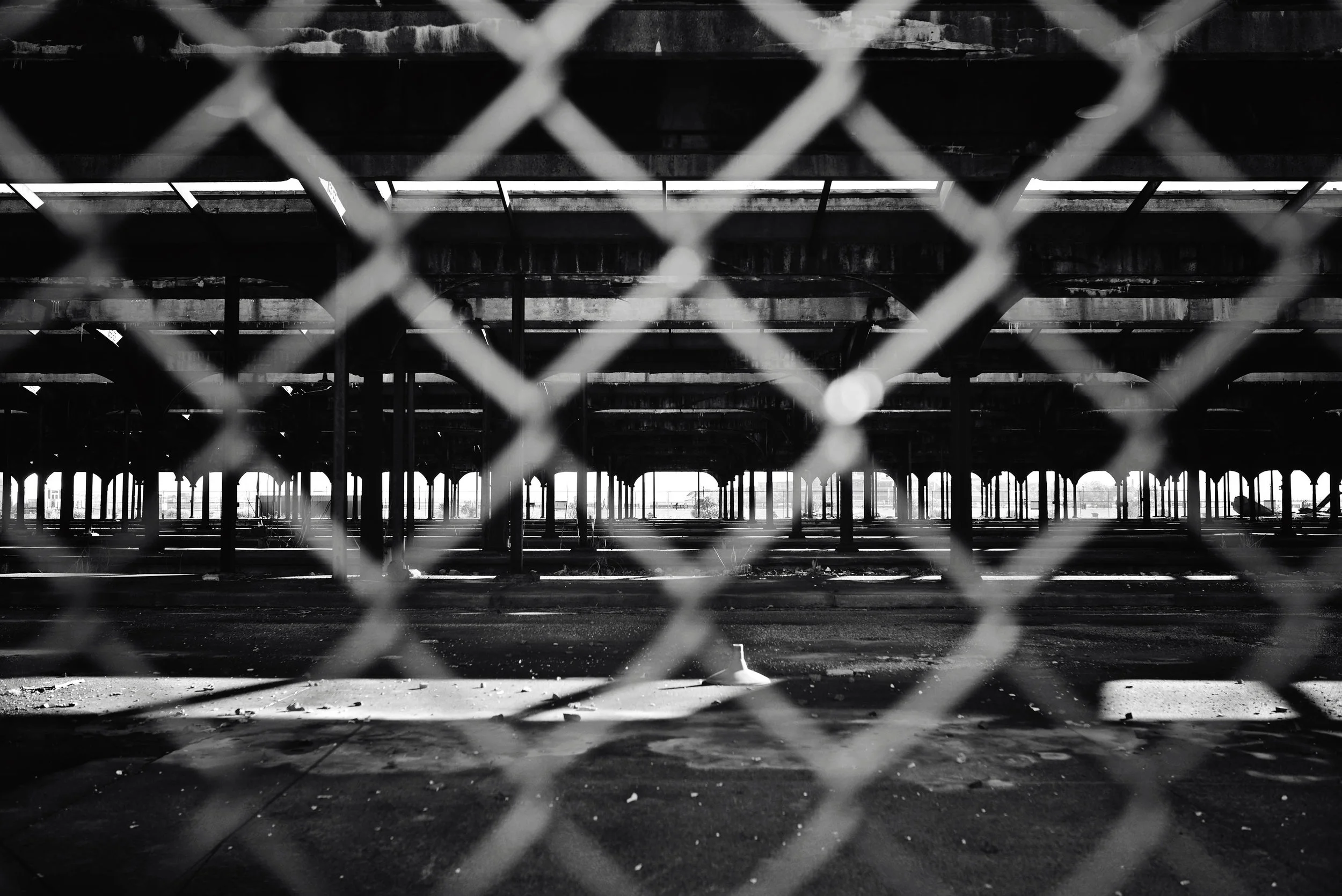 DSC_0063 through the fence B&W web.jpg