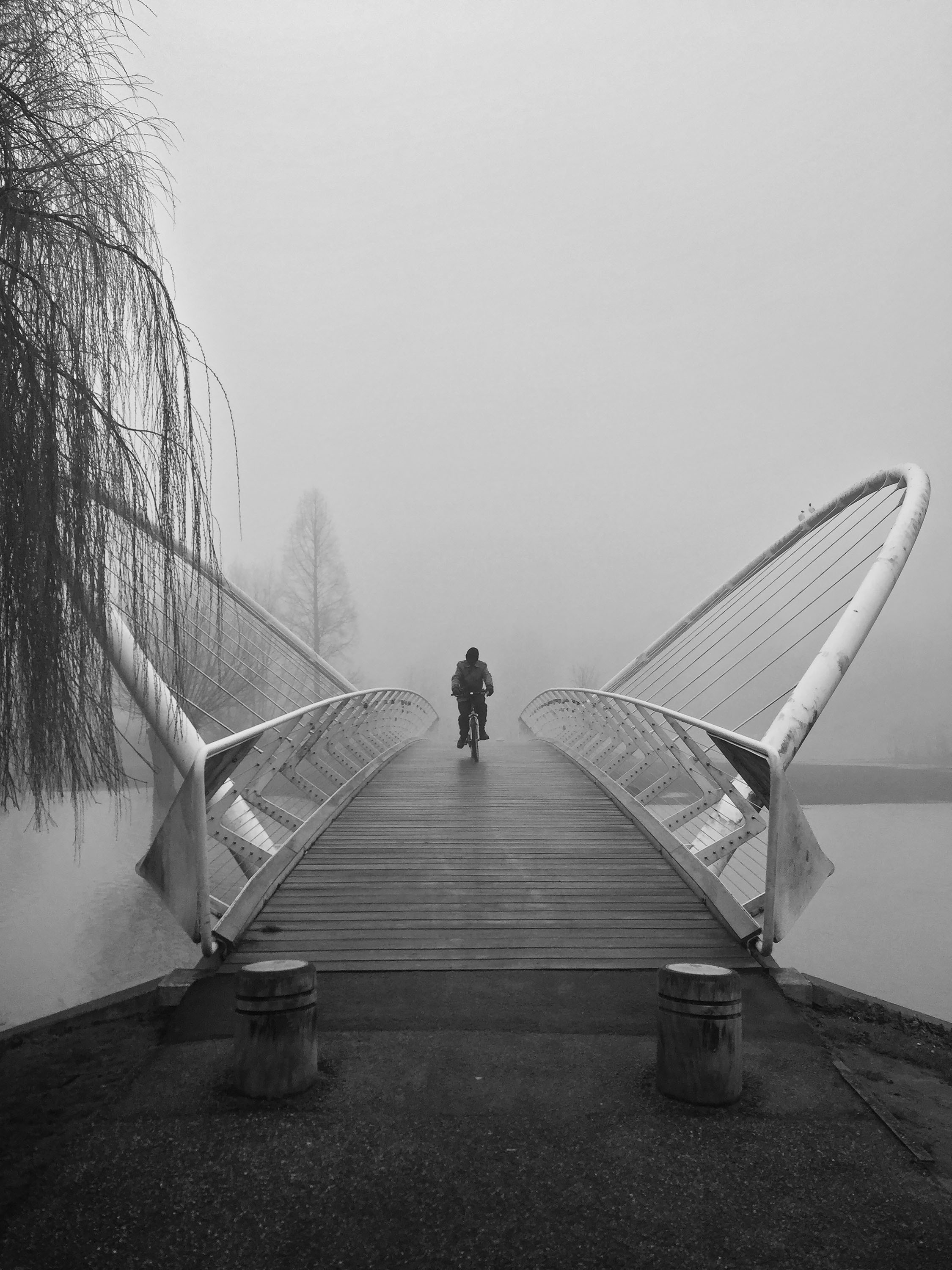 IMG_2246 lisa rayman goldfarb foggy morning bike ride Uk web 1.jpg