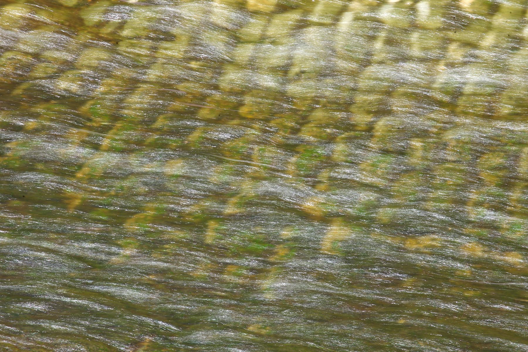 DSC_8142 motion water web .jpg