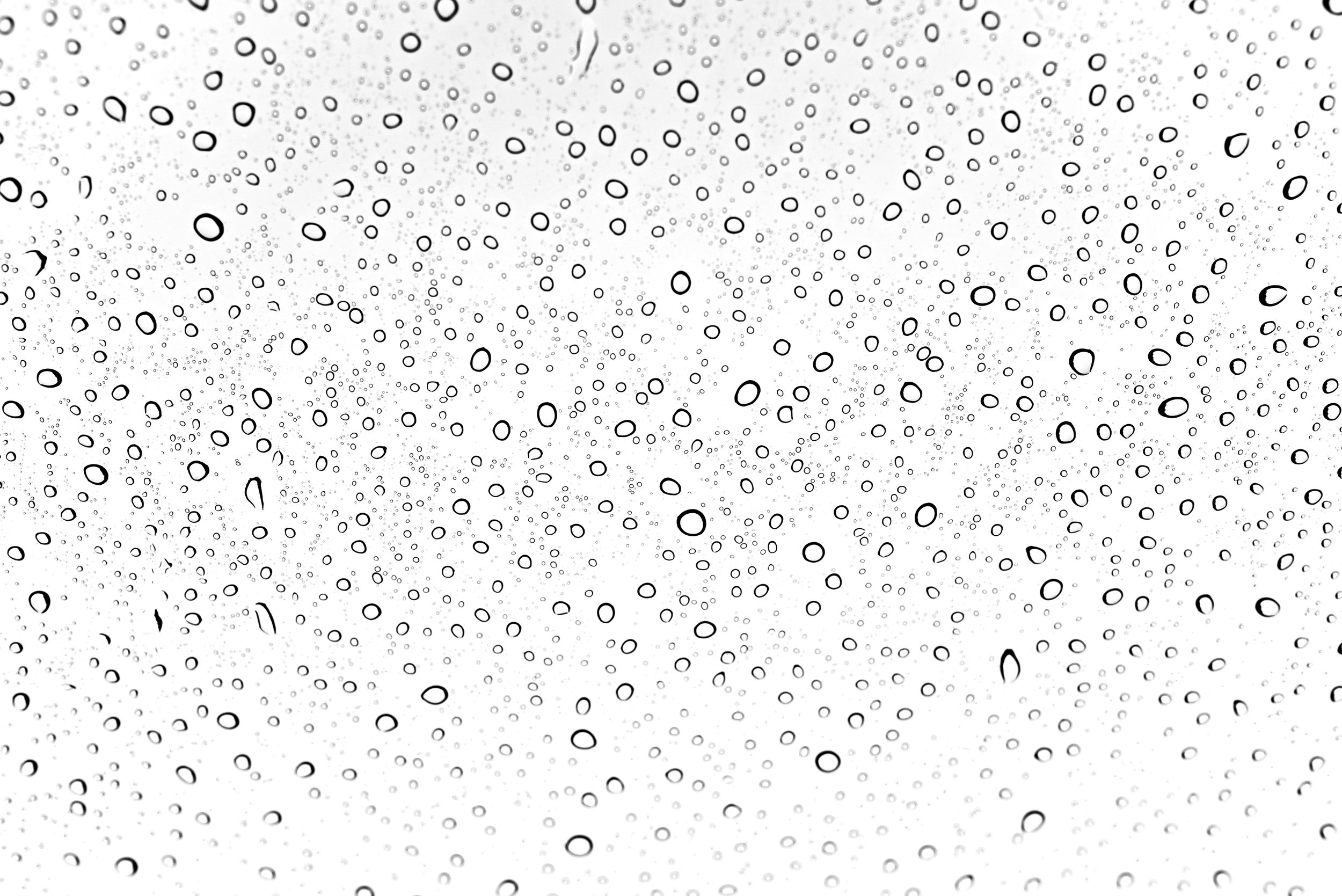 DSC_1572 rain drops.jpg