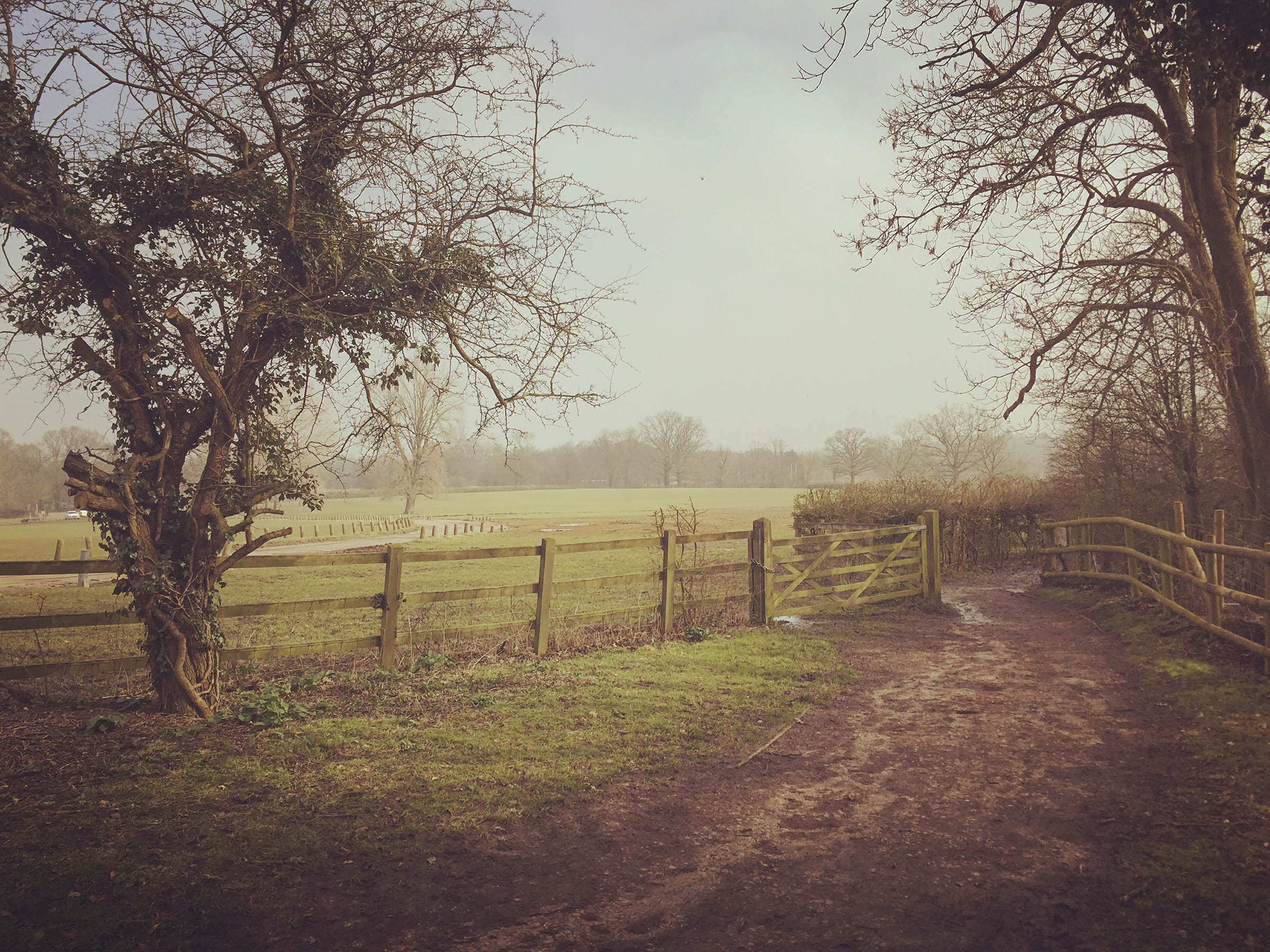 IMG_2500 walk along windy path web.jpg