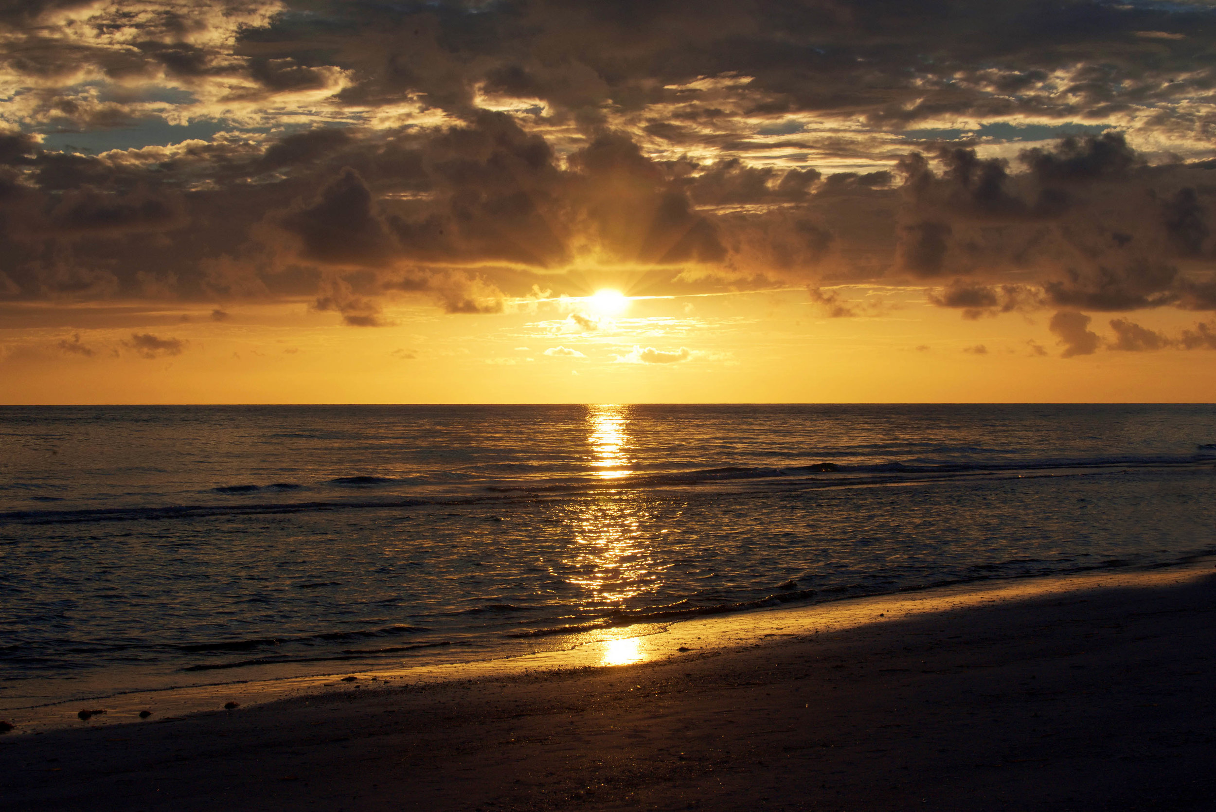 DSC_2830 sunset web.jpg