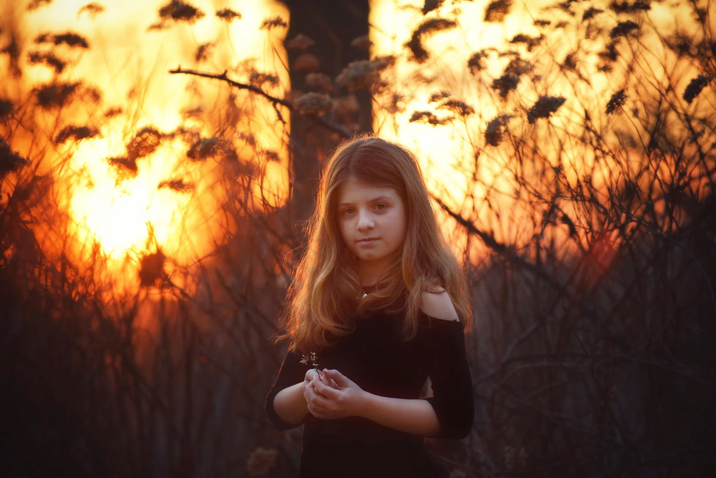 DSC_2324 siena hold flower in setting sun.jpg