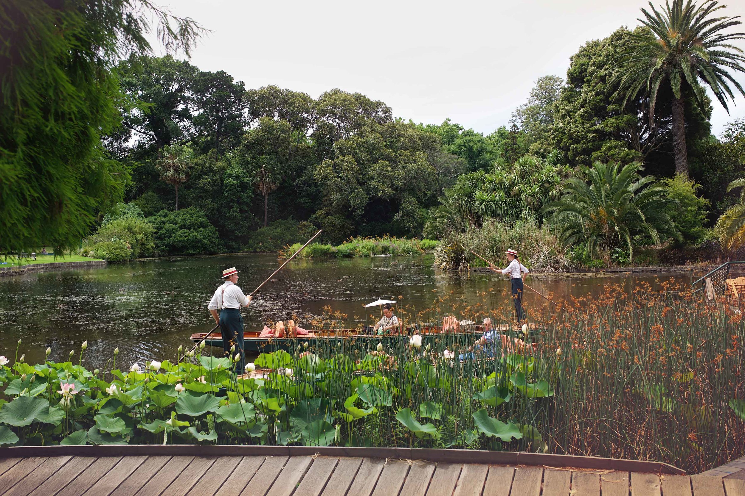 DSC_2235 melbourne botanical gardens.jpg