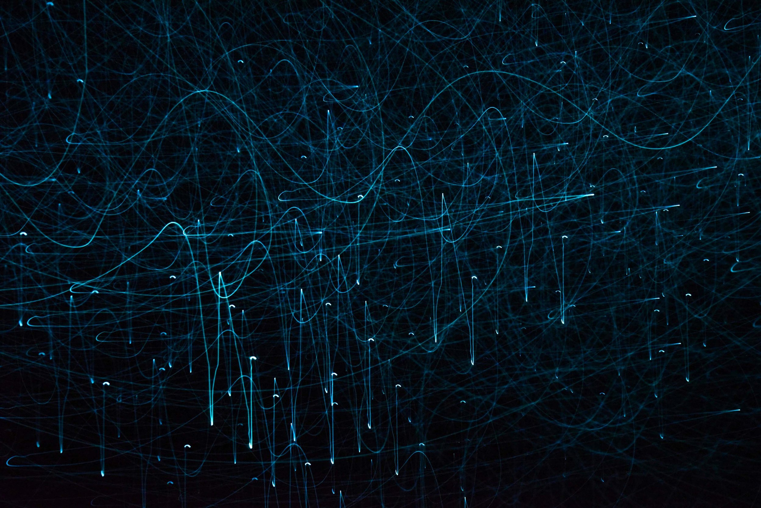 DSC_5286 glow worms gallery.jpg