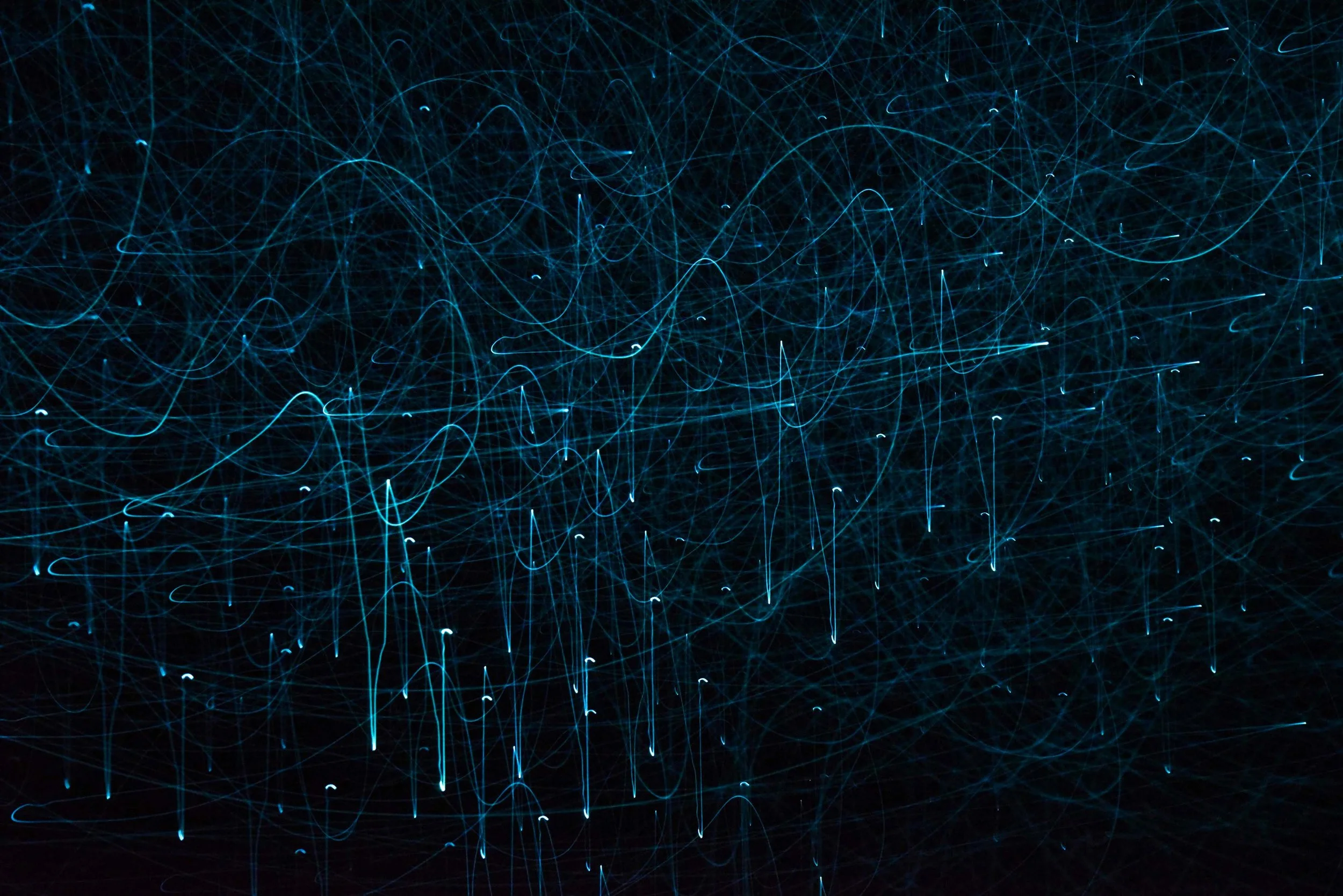 DSC_5286 glow worms gallery.jpg