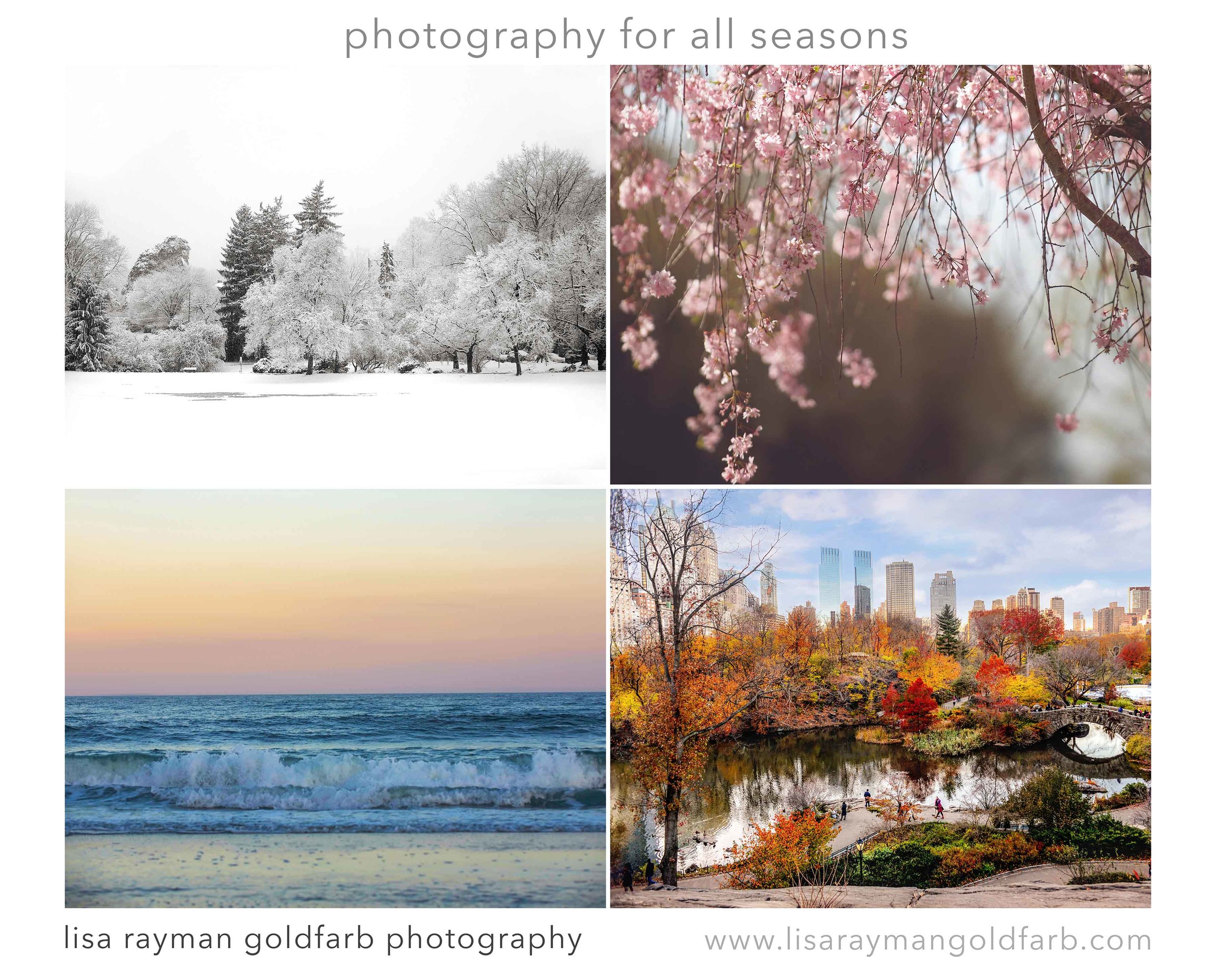 Central Smile Four Seasons montage gallery.jpg
